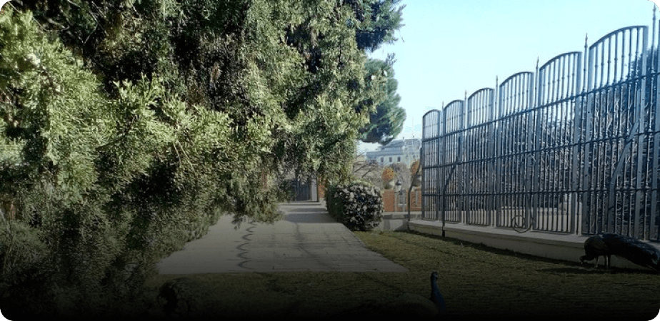 Temporary Driveways Or Pet Areas